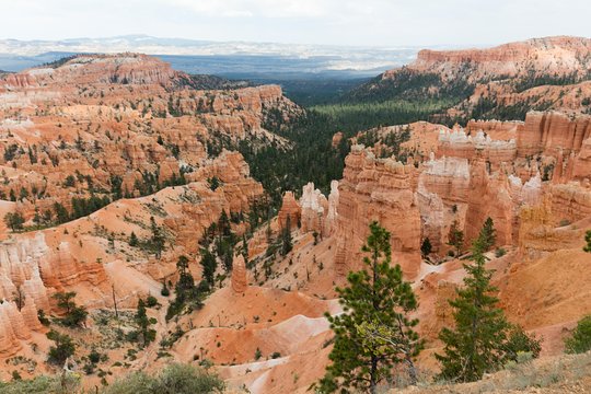 Tour image 9